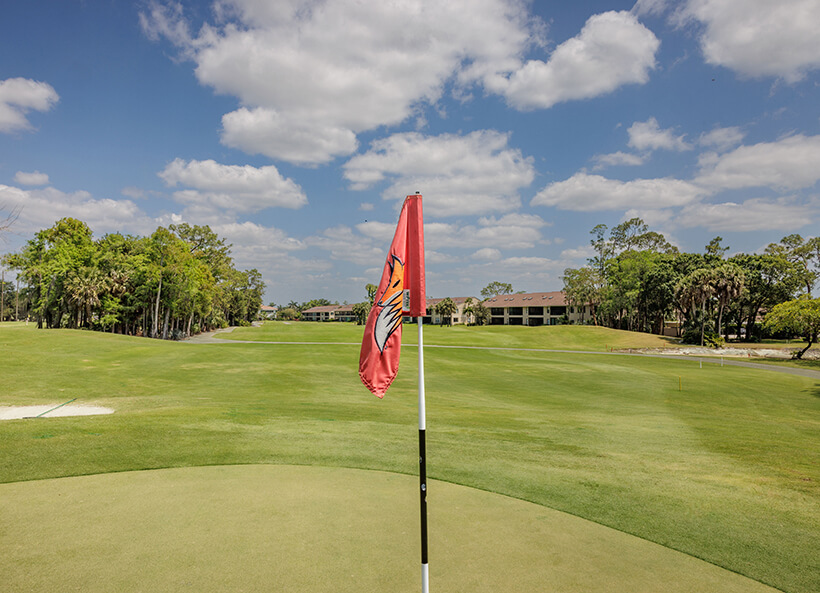 golf flag